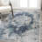 Rosalia Cottage Medallion Ivory/Blue Rug-162908944