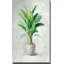 «Greenhouse Palm II», reproduction d'art-651223029-651223028