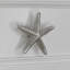 Petits boutons étoile de mer (ensemble de 2)-39948825-104674675-126755979