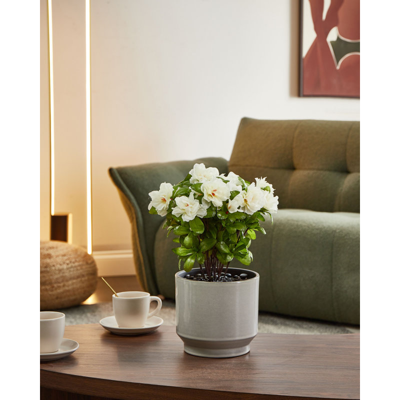 Artificial Plant NOVELLA 36 cm, White