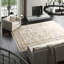 Hand-Knotted High-Quality Beige Area Rug
