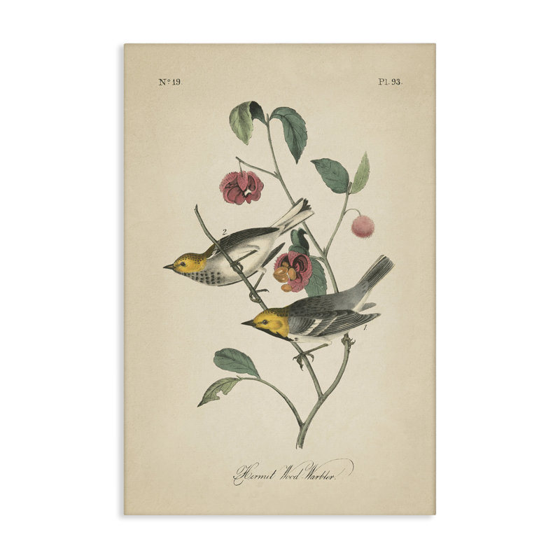 Art mural rétro sur toile "Warbler & Plants" par Wild Apple Portfolio, H 45 po x l 30 po