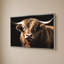 «Highland Bull» par Susan Arnot - impression sur toile-130745700-130745704
