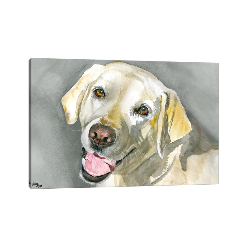 Sassy Lady - Yellow Labrador Retriever by Judith Stein - Wrapped Canvas Painting, 20.32cm H x 30.48cm W