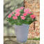 Contemporary Smooth Handmade Pot Planter-35994081-36035289