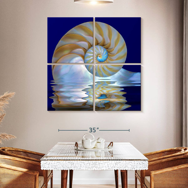 Aletra Nautilus Shell On Water