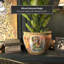 Urne en porcelaine Diandrea-806581089-904197272