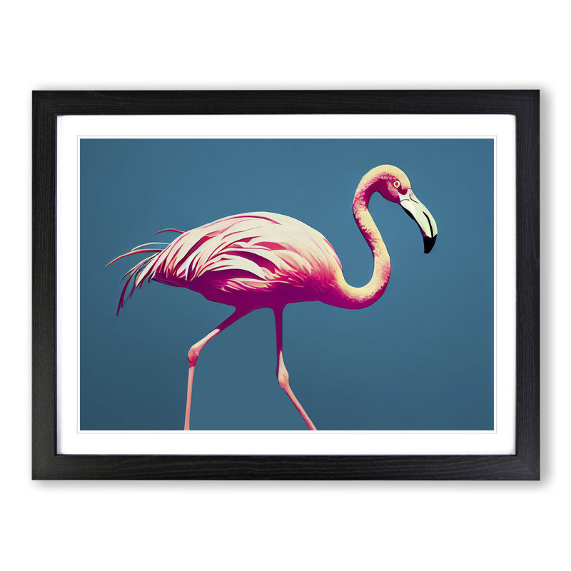 Thrilling Flamingo - Single Picture Frame Print, Black Framed, 46cm H x 64cm W x 2cm D