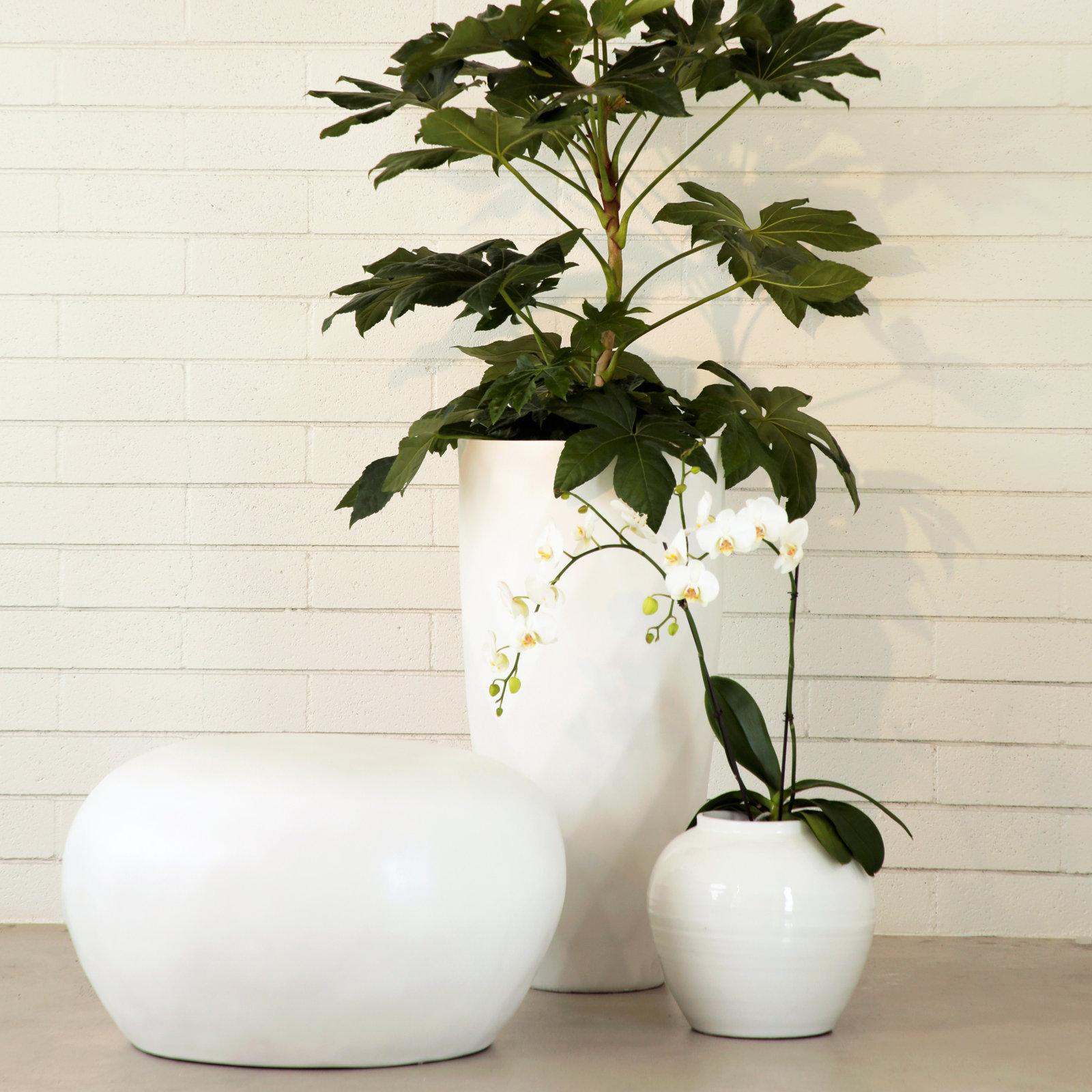 Allene 30'' Concrete Outdoor Coffee Table, White