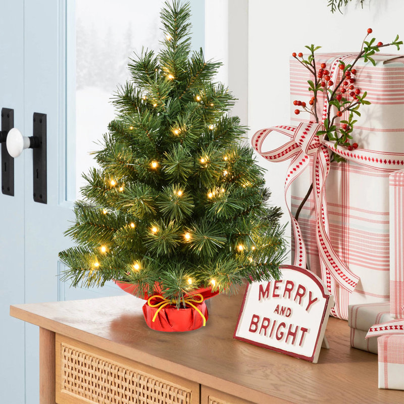 Spruce Christmas Tree