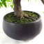 127cm Faux Bonsai Plant in Pot Liner