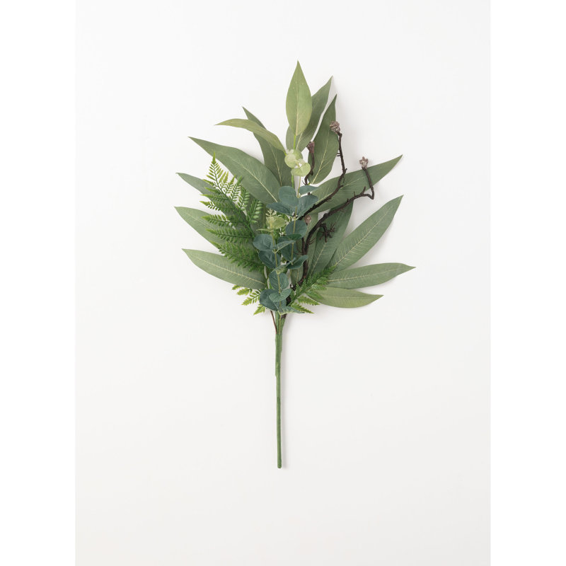 Jet eucalyptus
