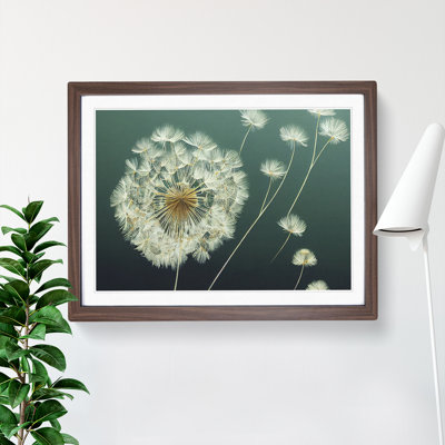 Unusual Dandelion Flowers - Framed Print