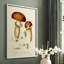 Reproduction encadrée champignon Variétés III - bois massif-492892084-492892111