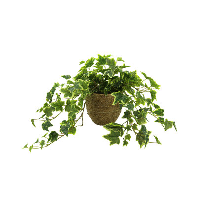 Nunn Faux Ivy Plant in Pot