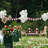 Adjustable Backdrop Support System Stand Photography Lighting Kit