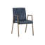 Homer Upholstered Arm Chair