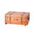 Texture Brand Designer Trunk with Wheels - Metallic-1646904413