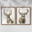 Impression encadrée Handsome Whitetail I-Premium - prête à être accrochée - aucun clou requis - aucun clou requis-1553893264-1553893269