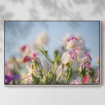 «Spring Petals», reproduction sur toile