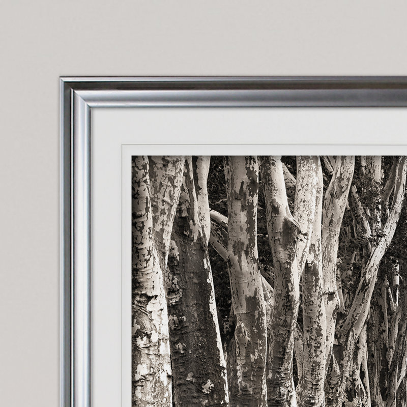 " Stately Road ", Silver, 30" H x 40" W x 1.5" D