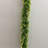 6' Artificial Eucalyptus Garland With Yellow Gypsophila