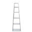 46cm W Iron Ladder Bookcase-159117861-159117863