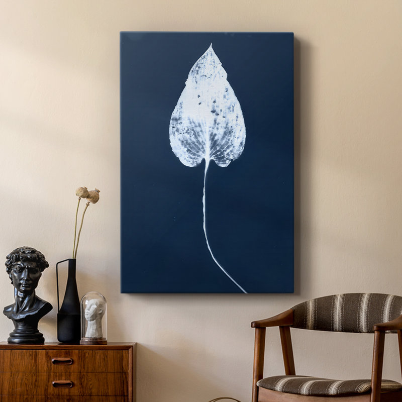 Cyanorphe feuille III - galerie Cavas sur mesure