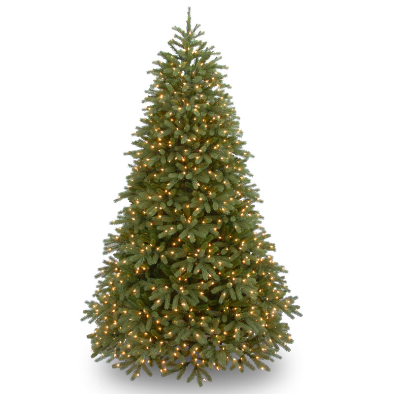 The Holiday Aisle® Jersey Fraser Fir Tree with Clear Lights, 6'