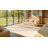Modern Plush Velvet Carpet Washable Non-Slip Ivory Area Rug-550263905