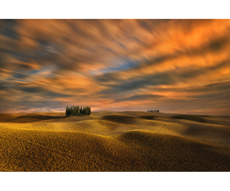 Wrapped Canvas Print, 50.8 cm H x 76.2 cm W