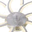 Chrisly Ceiling Fan with LED Lights