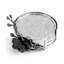 Black Orchid Coaster Set With Holder