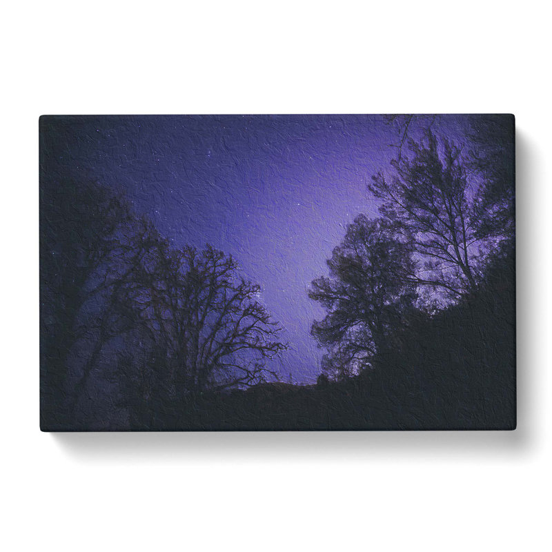 Purple Stars - Wrapped Canvas Painting, 35cm H x 50cm W x 3cm D