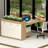 Planter Top Modern Office Storage Filing Cabinets