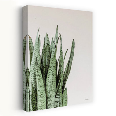 Boho Snake Plant Contemporary Snake Plant Art