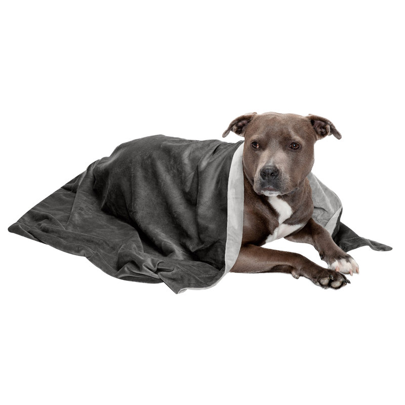 Granite Gray Medium Waterproof Velvet Pet Blanket