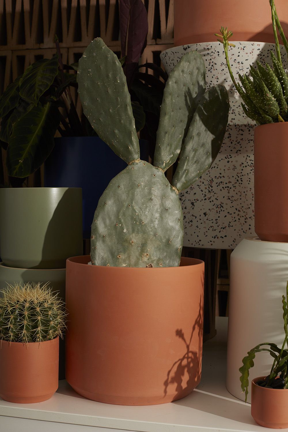 Parsons Ceramic Pot Planter, 6.75" H x 7" W x 7" D, Terracotta