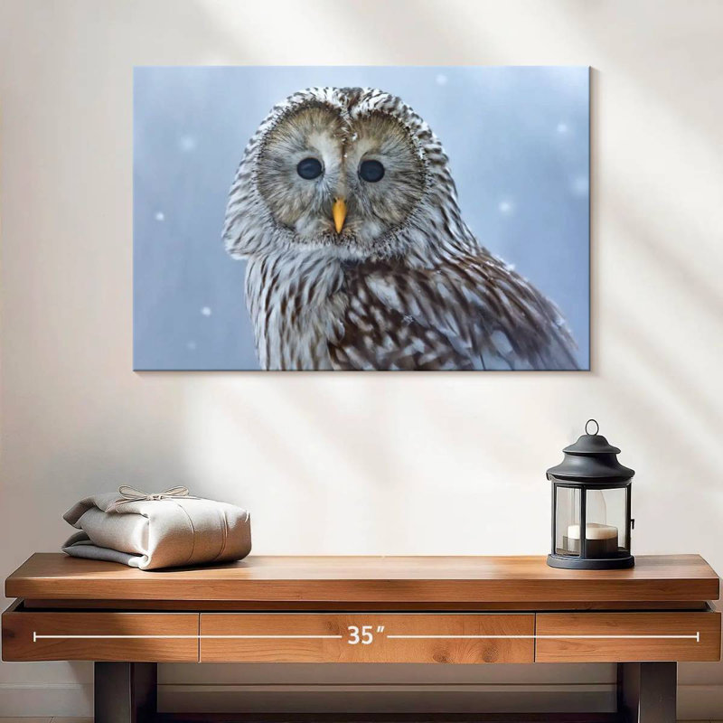 Brampt Ural Owl In Snow, 16" H x 24" W