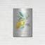 «Floursack Lemon II» par Danhui Nai-1479877930