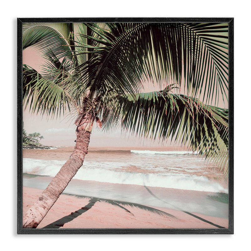 Palmier, ombre sur le sable, estampe numérique par Danita Delimont, Giclée encadrée noir minuit, H 24 po x l 24 po