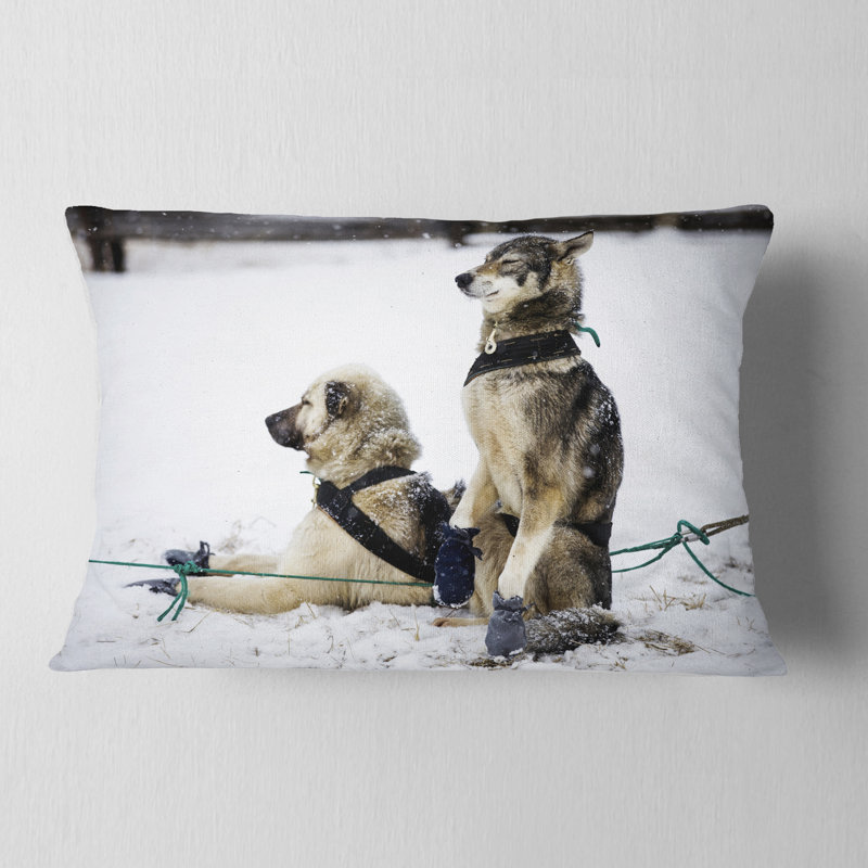 Coussin lombaire à grand chariot pour animaux