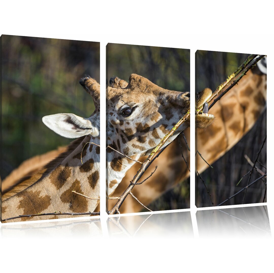 3-tlg. Leinwandbilder-Set „Fressende Giraffe“, Fotodruck 