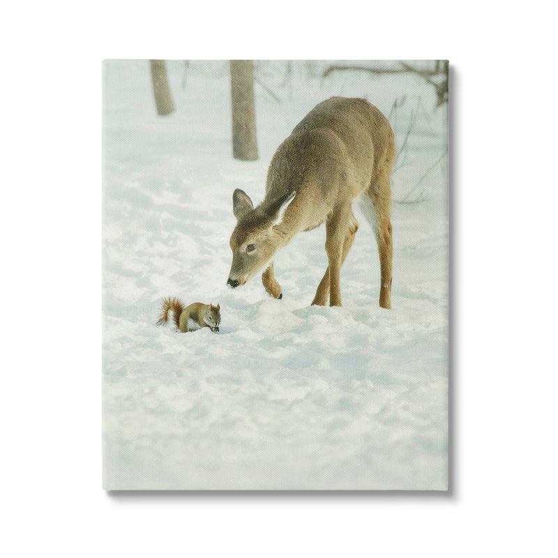 «Au-936-Canvas, cerf et écureuil, scène de neige sur toile» par Carrie Ann Grippo-Pike, photographie