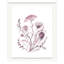 Queen Anne's Lace No. 21