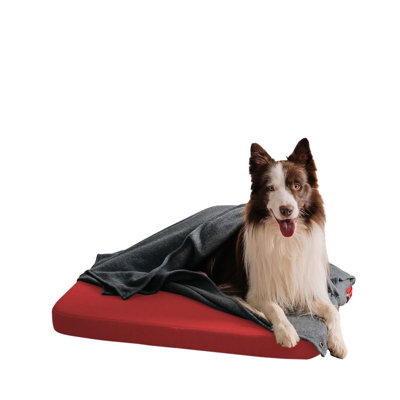 Orthopedic Microfibre Pet Bed