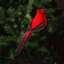 10'' Fabric Birds Hanging Figurine Ornament