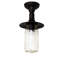 1 - Light Flush Mount