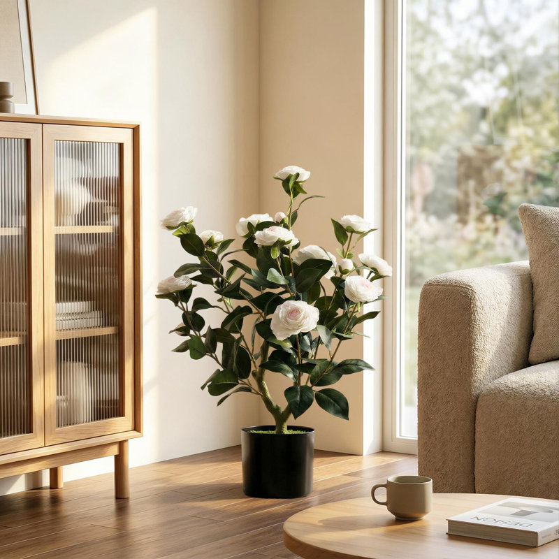 65cm Plant, White