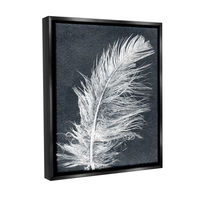 «Blue & White Feather Floater Frame» par Pernille Folcarelli sur, Cadre flottant noir de jais, H 21 po x l 17 po